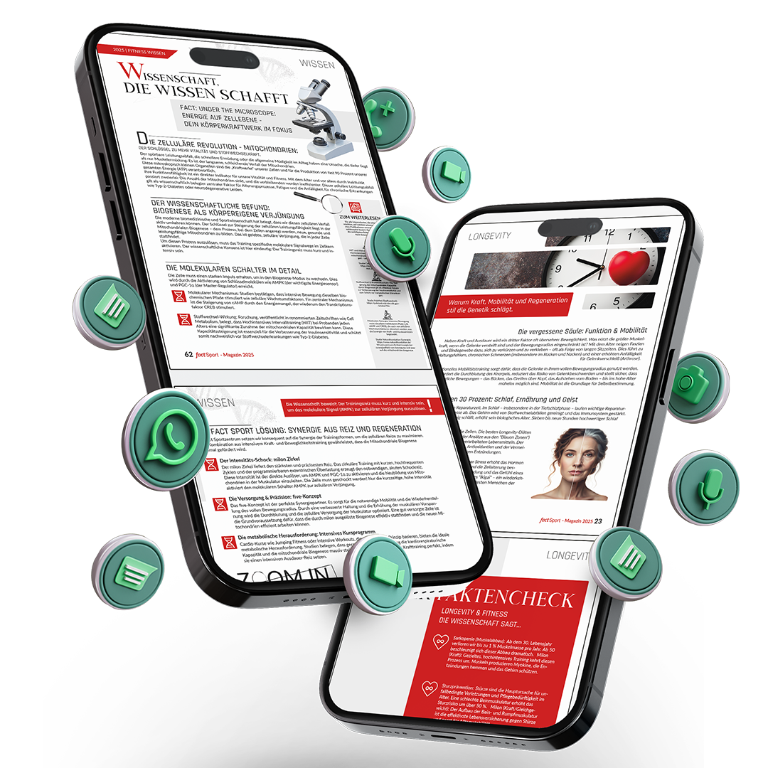 Website Landingpage fact magazine img showcase whatsapp